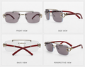 Cheetah Transition+protection frame