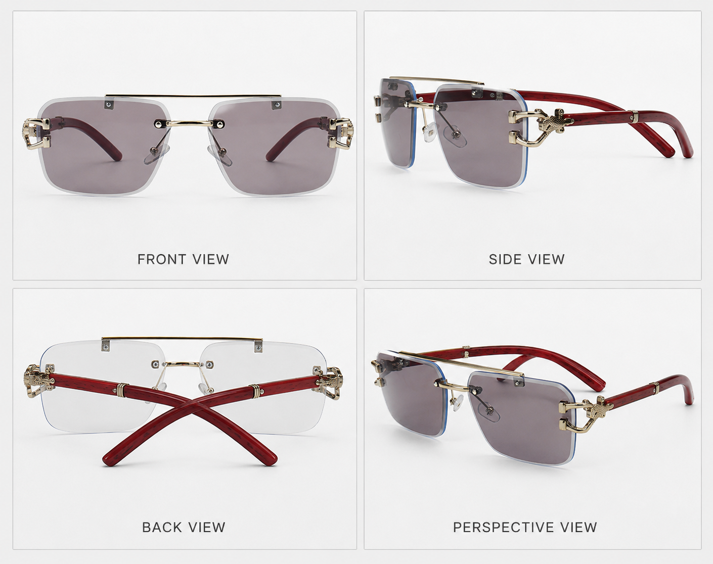 Cheetah Transition+protection frame